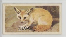 1962 Brooke Bond African Wild Life Tea Fennec Fox #23 4az