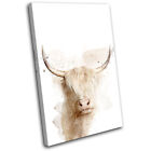 Highland Cow Paint Minimal Animals Single Canvas Wall Art Picture Print