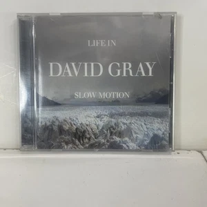 Life In Slow Motion - Audio CD By David Gray - VERY GOOD/ NO SCRATCHES - Picture 1 of 3