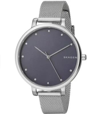 SKAGEN Hagen Silver Stainless Steel Mesh Watch Crystals Blue Dial 38mm SKW2582 Foto 1 de 3