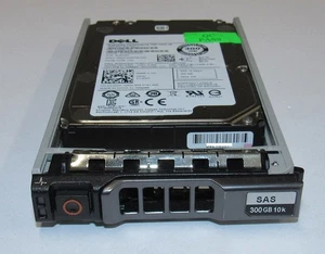 Dell YJ2KH ST300MM0008 300 GB 2,5" 12 Gb/s 10 K RPM SAS disco rigido - Foto 1 di 1