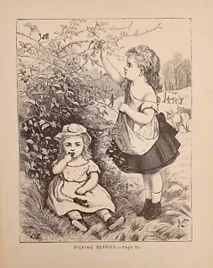 1875 Deliziosa Antica Stampa = BIMBE E LE BACCHE = ORIGINALE di ETA' VITTORIANA - Bild 1 von 1