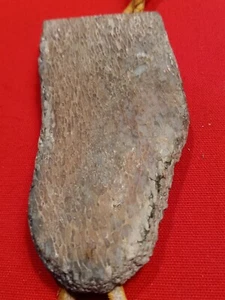 Vintage Petrified Dinosaur Bone Bolo Tie. - Picture 1 of 18