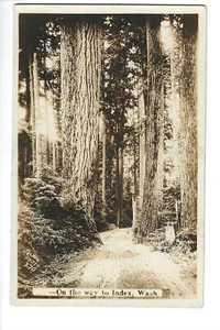 Sulla strada per l'indice, Washington RPPC - Foto 1 di 2
