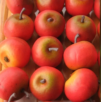 12 x Äpfel Deko Künstliche 4cm Attrappe Früchte Kunstobst Dekoobst Dekofrüchte - Bild 1 von 4