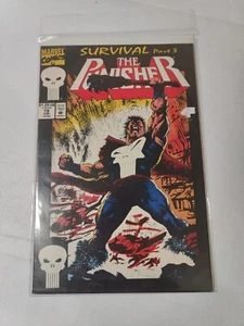 The Punisher 79 - Picture 1 of 2