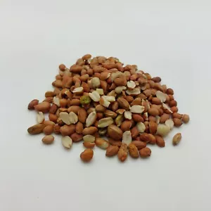 25Kg Standard Peanuts Wild Bird Food High Oil Aflatoxin Safe Nuts Feed - Picture 1 of 2