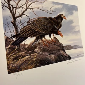1980, Buzzard Stamp Print, David Maass, Turkey Vulture,143/777 Mint Stamp,No Damage - Bild 1 von 12