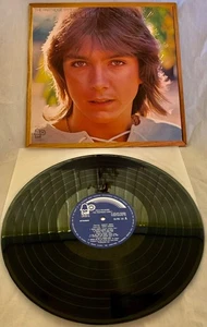 PARTRIDGE FAMILY "BULLETIN BOARD" ULTRA-RARE 1973 ORIGINAL JAPANESE 1ST PRESSING - Picture 1 of 3