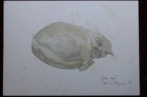 Original work by Thora Clyne - Study of Mi Mi the cat - watercolour - Picture 1 of 3