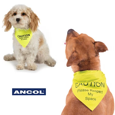 Bandana para Perros Alta Visibilidad Advertencia Ancol Amarillo Nervioso Tímido Reactivo Entrenamiento para Cachorros Foto 1 de 4