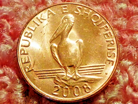 Albania 1 Lek 2008 Dalmatian Pelican Bird Uncirculated from Mint Magnetic Variet Cover