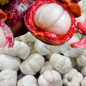 1 kg Mangosteen Freeze Dried Fruit Queen Natural 100% Thai Healthy Snack Halal - Picture 1 of 6