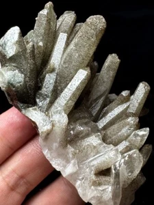 155 g 1 pieza Marca Raro NATURAL ESQUELÉTICO Elestial Verde Profundo Cuarzo Cristal r770 - Imagen 1 de 7