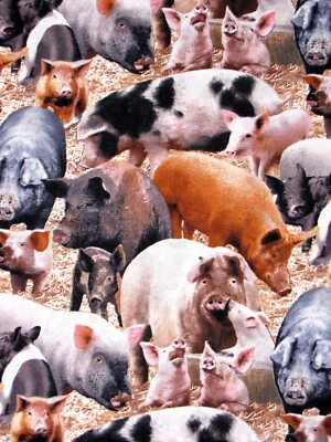 Farm Animals Pigs Fabric Piglet Pig Pork Cotton 431 Elizabeths Studio By Yard - Image 1 of 2