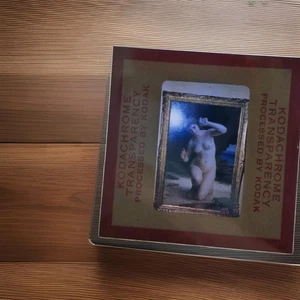 Kodachrome SLIDE | 1950-1959l Renaissance Woman Oil Painting Photo Mid-20th - Picture 1 of 2