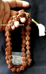 4 Mukhi Rudraksha Mala / Four Face Rudraksh Mala 16-18 MM - Nepal - 54 cuentas ~Lab - Imagen 1 de 3