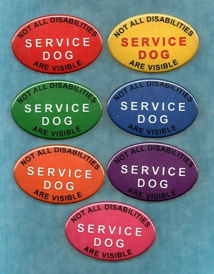 SERVICE DOG NOT ALL DISABILITIES ARE - 7 colors - service dog button w/pin back - Image 1 of 1