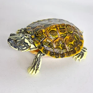 【Usado】 Figura de acción Bandai Gashapon Turtle 02 AVANCE Rio Grande Cooter Turtle - Imagen 1 de 14