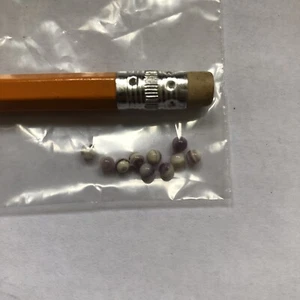 Qty 10 of 3mm Round Beads Pale Color Wampum Quahog - Picture 1 of 1