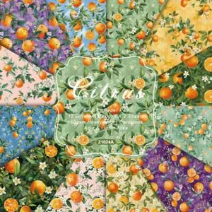 Citrus Fruit Orange Tangerine Scrapbook Card Journal Craft Paper - Picture 1 of 5