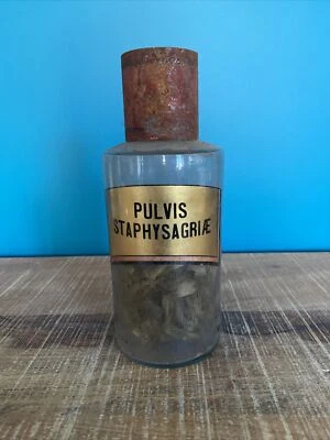 Pot A Pharmacie Apothicaire 19em Verre Soufflé Cabinet De Curiosité  - Photo 1/4