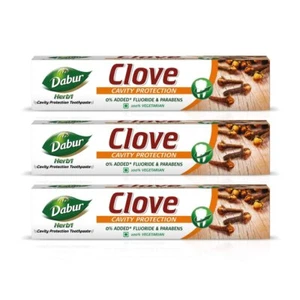 Dabur Herbal Toothpaste Clove No Added Fluoride Gum Protecting 100 ml tube - Picture 1 of 1