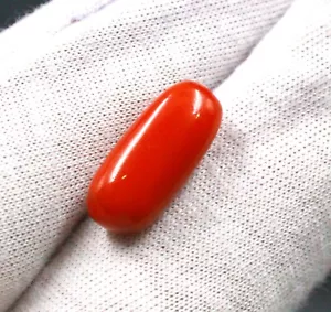 Natural For Good Luck Italian Red Coral Gemstone 6.30 Carat EGL Certified NJ693 - Picture 1 of 4