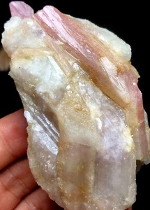 167g 1 STCK. Natürliche Rote Turmalin Quarz Kristall Cluster Mineral Probe P819 - Bild 1 von 8