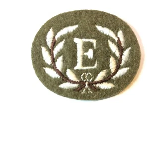 British Army Electronic Surveillance Operator Trade Badge Patch  - Picture 1 of 3