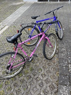 2 bicicletas rosa y azul Foto 1 de 3
