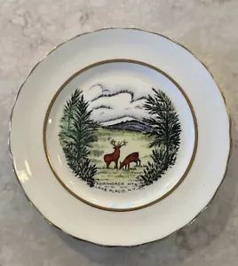 Taylor & Kent Adirondack Mt. Lake Placid 9"" englische Knochen China Sammlerplatte - Bild 1 von 4