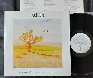 EDITH A Space Between Ever...1989 ITALY SYMPHO PROG PRIVATE LP EZRA WINSTON - Picture 1 of 5