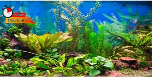 48X18 Inches Aquarium Background Aquatic Plant River Bed & Lake Fish Tank Backgr - Picture 1 of 12