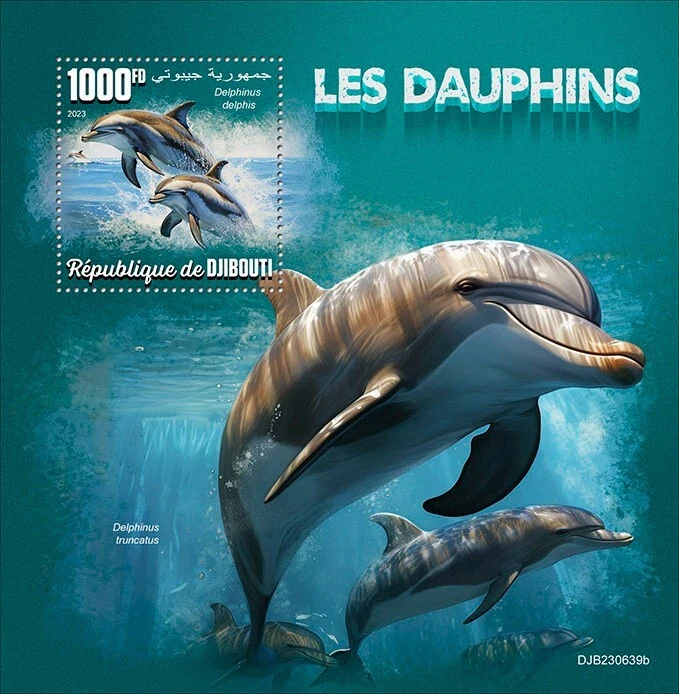 2024 11 - DJIBOUTI - DOLPHINS         1V  complet set    MNH ** - Image 1 of 1