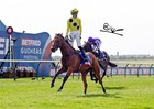 A3 A4 Photo Bow Echo Winning The 2000 Guineas Signed By Jockey Billy Loughnane