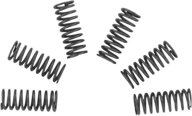 Muelles de embrague EBC CSK #CSK32 para Honda TRX250R FourTrax 250R 2x4/ATC250R Foto 1 de 1