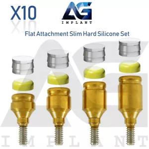 Juego de 10 accesorios planos delgados extra suaves de titanio para hexagonal interior dental - Imagen 1 de 5