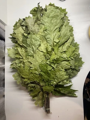 10 Oak brooms sauna banya venik Eiche whisks eco 2025 Ukrainian - Image 1 of 4