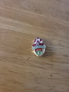 Enamel Russia Pin Hammer And Sickle Flame BCEF∆A TOTOB! - Picture 1 of 1