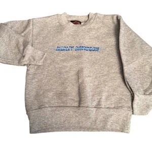 Harley Davidson Youth XS Gray Flame Sweatshirt Hollywood California HD - Picture 1 of 6