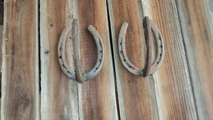 GUN RACK rustic RUSTY old compact rifle STEEL hanger western horseshoe TACK - Picture 1 of 3