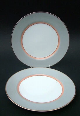 DOS Platos de Cena Mikasa Grandeur Gris Patrón LAD01 Lg 27cm Excelente Estado Foto 1 de 4