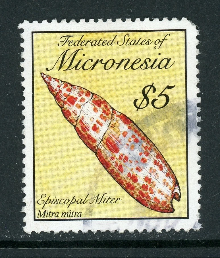 Micronesia Scott #102 U Seashells $5 CV$8+ - Image 1 of 1
