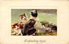 PFB Cats~A Refreshing Tipple~Kitties at Water Dish~No 9130 GEL Postcard