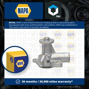 Water Pump fits FORD GRANADA 1.6 81 to 82 LCK Coolant NAPA 1528548 5004972 New