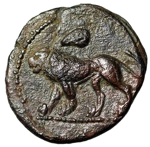 Cyprus, Salamis AE16 "Lion, Rams Head / Horse, Ankh" Rare Extremely Fine - Picture 1 of 5