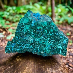 Polished Malachite Specimen, 191.97gr, 3x3x0.5" - Picture 1 of 3