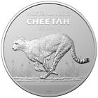 Cheetah Gepard Australia Zoo Silber Münze 1 oz Australien RAM 2021 Auflage 25000