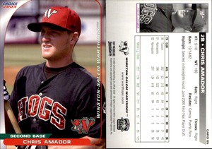 Chris Amador 2003 Choice Winston-Salem Warthogs #05 Card *AutographDen*